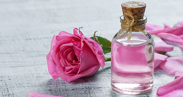 Medicinal properties of rose